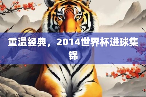重温经典，2014世界杯进球集锦