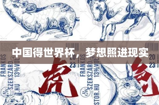 中国得世界杯，梦想照进现实