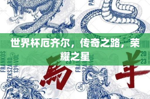 世界杯厄齐尔，传奇之路，荣耀之星