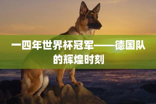 一四年世界杯冠军——德国队的辉煌时刻眉山市正发家政服务有限公司