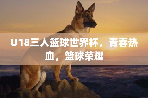 眉山市正发家政服务有限公司U18三人篮球世界杯，青春热血，篮球荣耀