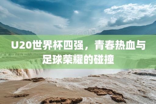 U20世界杯四强，青春热血与足球荣耀的碰撞