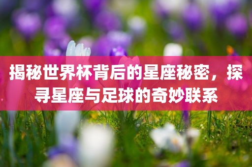 揭秘世界杯背后的星座秘密，探寻星座与足球的奇妙联系眉山市正发家政服务有限公司