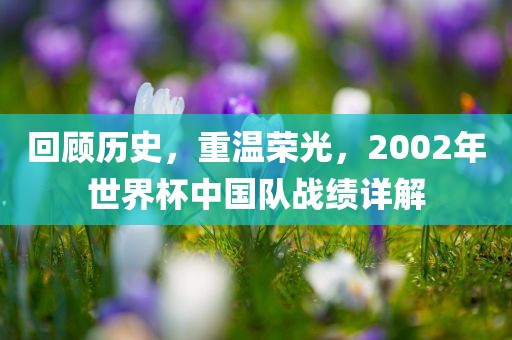 回顾历史，重温荣光，2002年世界杯中国队战绩详解眉山市正发家政服务有限公司