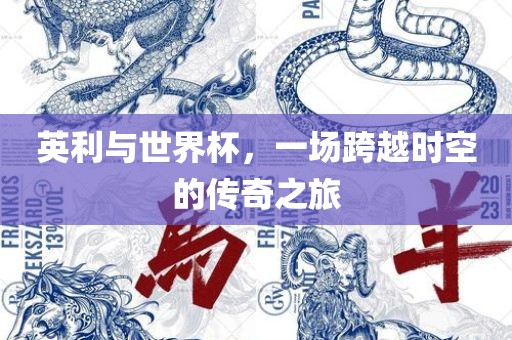 英利与世界杯，一场跨越时空的传奇之旅眉山市正发家政服务有限公司