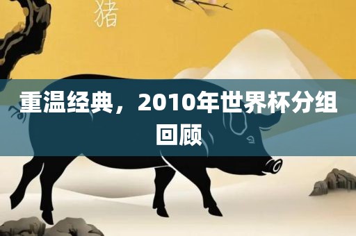 重温经典，2010年世界杯分组回顾