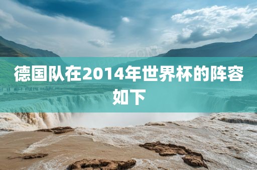 德国队在2014年世界杯的阵容如下