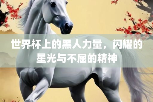 世界杯上的黑人力量，闪耀的星光与不屈的精神眉山市正发家政服务有限公司