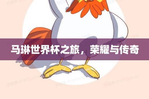 马琳世界杯之旅，荣耀与传奇眉山市正发家政服务有限公司
