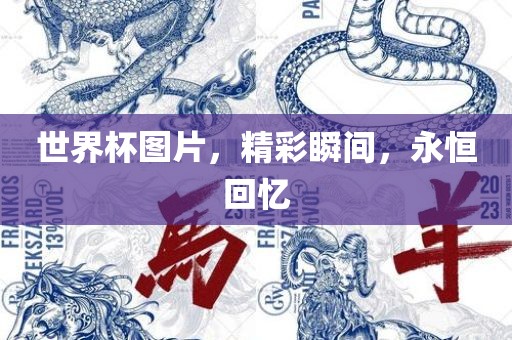 chenjiayi 第9页