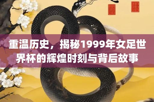 重温历史，揭秘1999年女足世界杯的辉煌时刻与背后故眉山市正发家政服务有限公司事