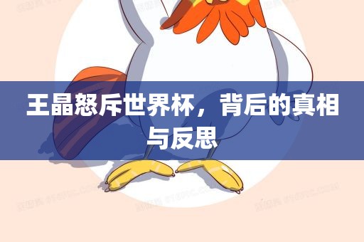 王晶怒斥世界杯，背后的真相与反思眉山市正发家政服务有限公司