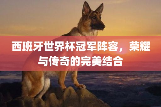 西班牙世界杯冠军阵容，荣耀与传奇的完美结合眉山市正发家政服务有限公司