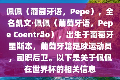 佩佩（葡萄牙语，Pepe），全名凯文·佩佩（葡萄牙语，Pepe Coentr?o），出生于葡萄牙里斯本，葡萄牙籍足球运动员，司职后卫。以下是关于佩佩在世界杯的相关信息