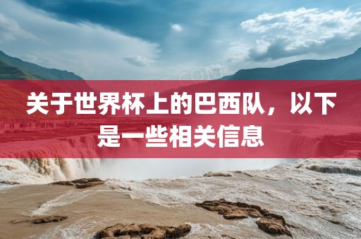 关于世界杯上的巴西队，以下是一些相关信息