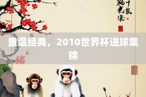 重温经典，2010世界杯进球集锦