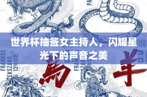 世界杯抽签女主持人，闪耀眉山市正发家政服务有限公司星光下的声音之美