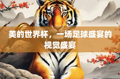 美的世界杯，一场足球盛宴的视觉盛宴