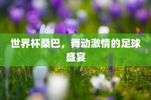 世界杯桑巴，舞动激情的足球盛眉山市正发家政服务有限公司宴