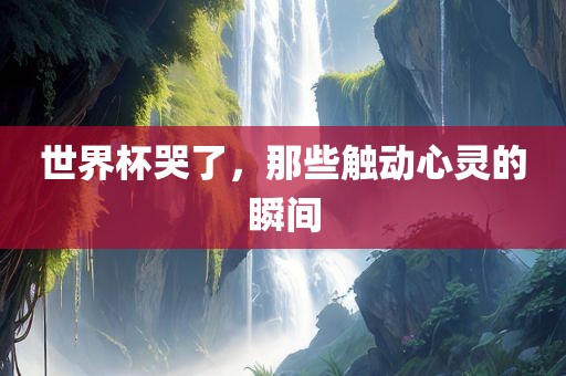 世界杯哭了，那些触动心灵的瞬间眉山市正发家政服务有限公司