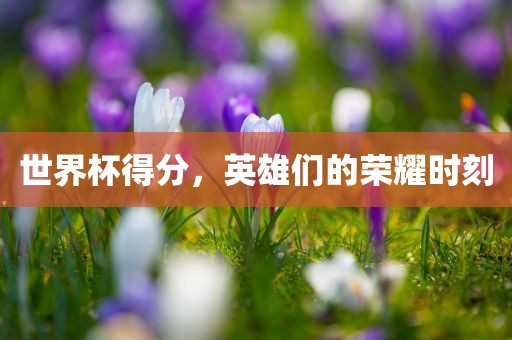 世界杯得分，英雄们的荣耀时刻