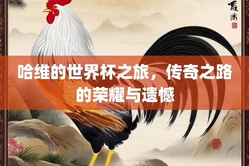 哈维的世界杯之旅，传奇之路的荣耀与遗憾眉山市正发家政服务有限公司