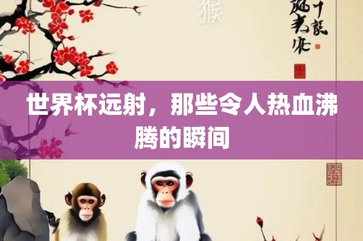 世界杯远射，那些令人热血沸腾的瞬间眉山市正发家政服务有限公司