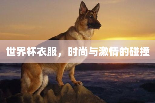 世界杯衣眉山市正发家政服务有限公司服，时尚与激情的碰撞