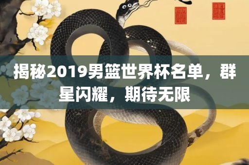 揭秘2019男篮世界杯名单，群星闪耀，期待无限