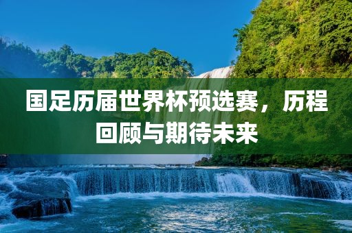 国足历届世界杯预选赛，历程回顾与期待未来眉山市正发家政服务有限公司