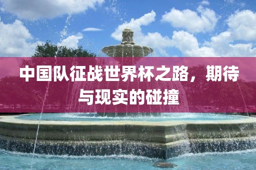 中国队征战世界眉山市正发家政服务有限公司杯之路，期待与现实的碰撞