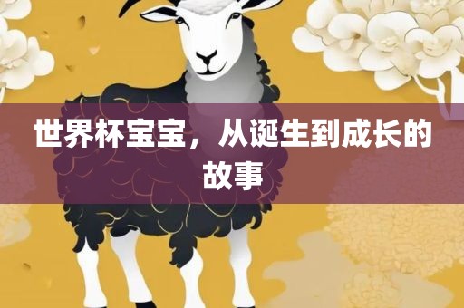 世界杯宝宝，从诞生到成长的故事眉山市正发家政服务有限公司