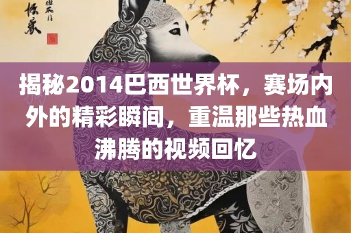 揭秘2014巴西世界杯，赛场内外的精彩瞬间，重温那些热血沸腾的视频回忆