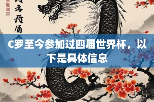 C罗至今参加过四届世界杯，以下是具体信息