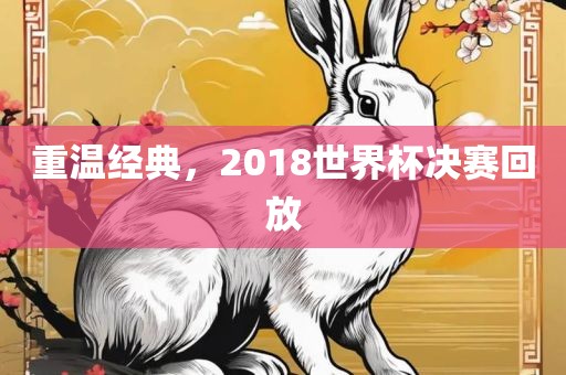 重温经典，2018世界杯决赛回放