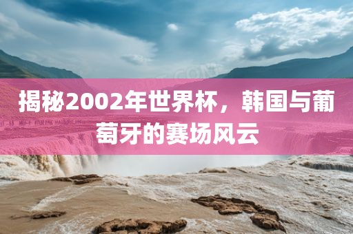 揭秘2002年世界杯眉山市正发家政服务有限公司，韩国与葡萄牙的赛场风云