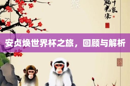 安贞焕世界杯之旅，回顾与解析