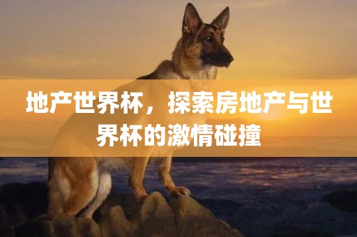 地产世界杯，探索房地产与世界杯的激情碰撞