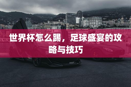 世界杯怎么踢，足球盛宴的攻略与技巧眉山市正发家政服务有限公司