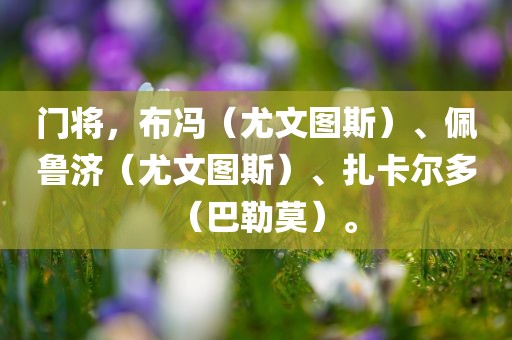 门将，布冯（尤文图斯）、佩鲁济（尤文图斯）、扎卡尔多（巴勒莫）。