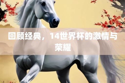 回顾经典，14世界杯的激情与荣耀眉山市正发家政服务有限公司
