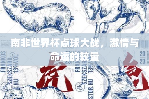 南非世界杯点球大战，激情与命运的较量