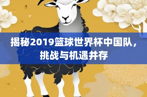 揭秘2019篮球世界杯中国队，挑战与机遇并存