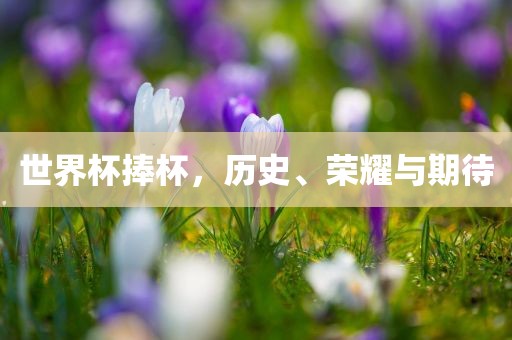 世界杯捧杯，历史、荣耀与期待