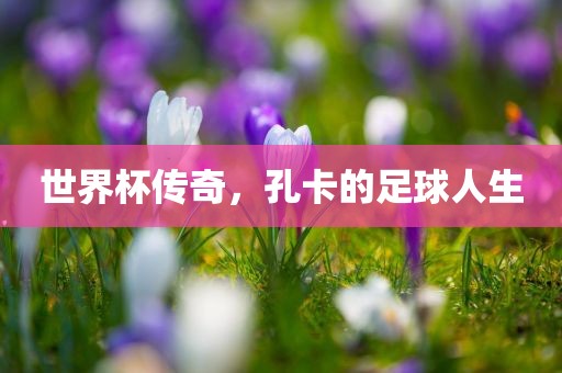 世界杯传奇，孔卡的足球人生眉山市正发家政服务有限公司