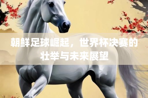 朝鲜足球崛起，世界杯决赛的壮举与未来展望眉山市正发家政服务有限公司