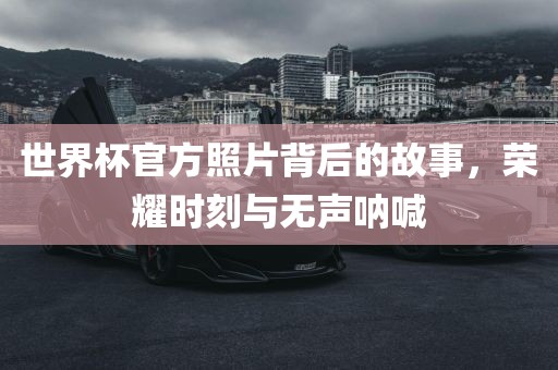 世界杯官方照片背后的故事，荣耀时刻与无声呐喊眉山市正发家政服务有限公司