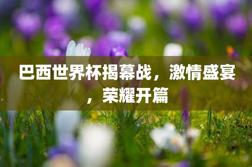 巴西世界杯揭幕战，激情盛宴，荣耀开篇