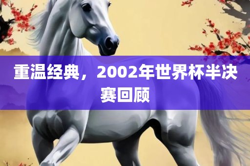 重温经典，2002年世界杯眉山市正发家政服务有限公司半决赛回顾