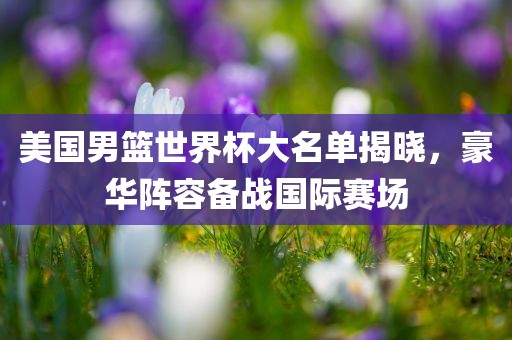 眉山市正发家政服务有限公司美国男篮世界杯大名单揭晓，豪华阵容备战国际赛场